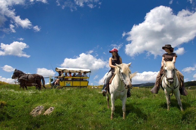 Le Mas de la Barque Languedoc-Roussillon - Villefort visuel 2/10