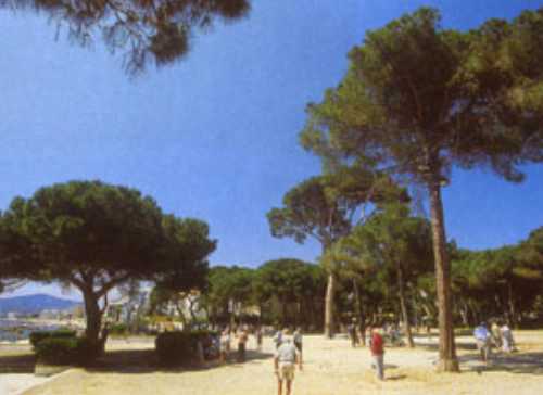 Résidence Le Mas de Tanit Provence-Alpes-Côte d'Azur - Juan-les-Pins visuel 5/9