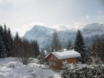 RESIDENCE LE PLANE Rhône-Alpes - Les Carroz d'Araches visuel 3/6
