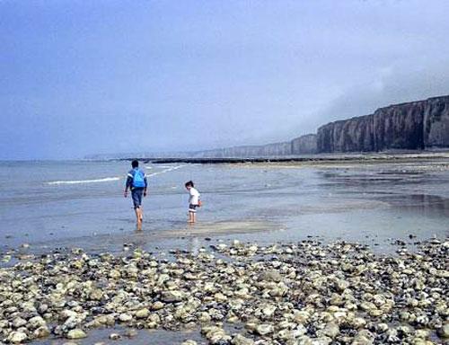 Le Pré Marin Haute-Normandie - Sotteville-sur-Mer visuel 5/6