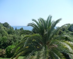 Résidence Le Solvida Provence-Alpes-Côte d'Azur - Cannes visuel 1/4