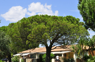 Le Village Mas Blanc Languedoc-Roussillon - Pérols visuel 3/19