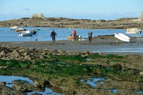 Résidence le Windsurf Bretagne - Ploemeur visuel 4/6