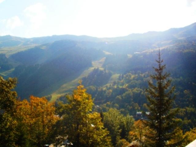 Résidence Les Airelles Rhône-Alpes - Méribel visuel 1/10