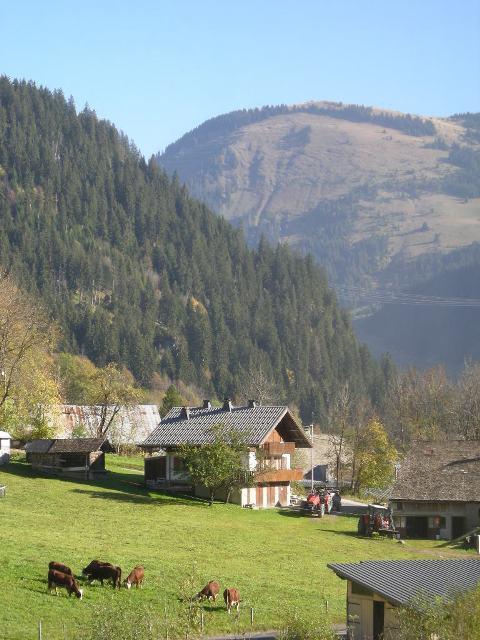 Résidence Les Avenières Rhône-Alpes - Châtel visuel 3/10