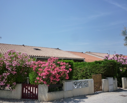 Résidence Les Brigantines II Languedoc-Roussillon - Saint-Cyprien visuel 2/2