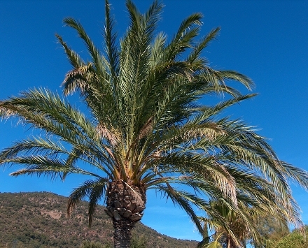 Résidence Les Cascades d'Eden Provence-Alpes-Côte d'Azur - Cavalaire-sur-Mer visuel 4/7