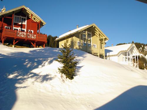 Les Châlets du Hameau de Flaine Rhône-Alpes - Flaine visuel 8/14