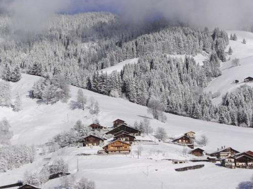 Les Chalets du Planay Rhône-Alpes - Arêches Beaufort visuel 4/6