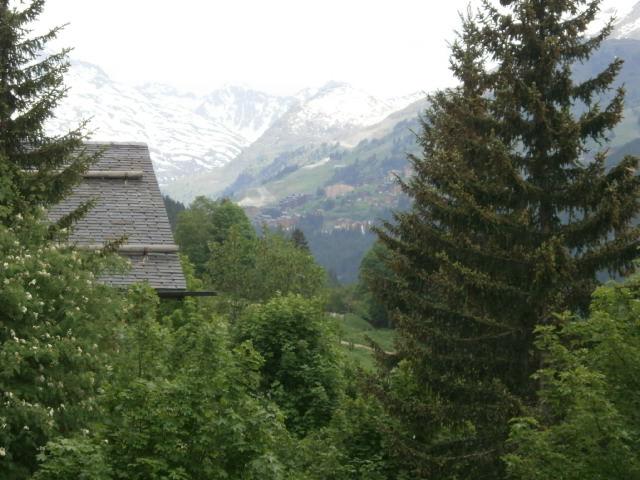 Résidence Les Grands-Sorbiers Rhône-Alpes - Méribel visuel 3/6