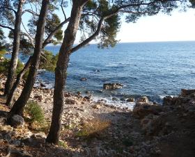 Résidence les Hameaux de l'Ile Rousse Provence-Alpes-Côte d'Azur - Bandol visuel 2/10