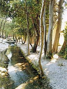 Résidence Les Patios Provence-Alpes-Côte d'Azur - Saint-Rémy-de-Provence visuel 4/10