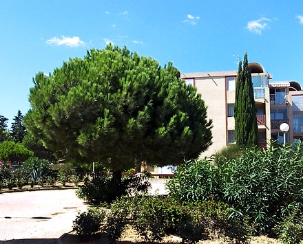 Résidence Les Portes de la Plage Languedoc-Roussillon - Gruissan visuel 8/10