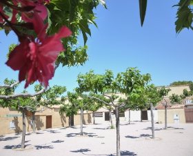 Résidence Les Regates Languedoc-Roussillon - Saint-Cyprien visuel 5/7