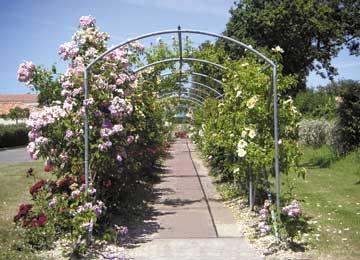 Les Résidences de Saint Michel chef chef Pays de Loire - Saint-Michel-Chef-Chef visuel 10/10