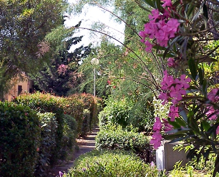 Résidence Les Romarines Languedoc-Roussillon - Gruissan visuel 5/7