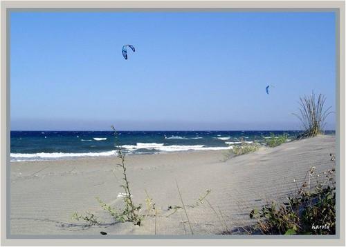 Résidence les Villas de Mélody Corse - Santa-Maria-Poggio visuel 7/11