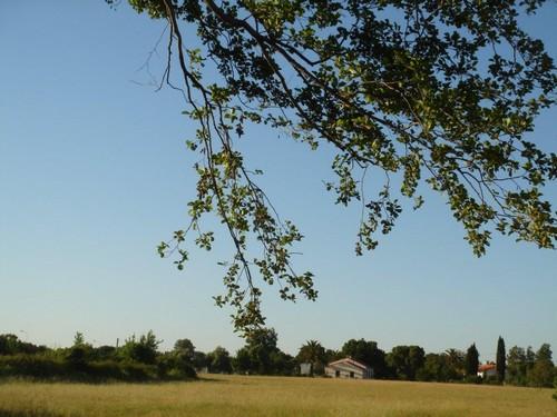 Résidence les Villas de Mélody Corse - Santa-Maria-Poggio visuel 5/11