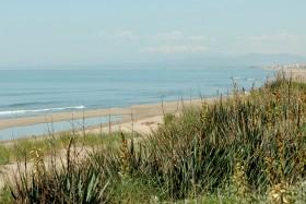 Résidence les Voiles Rouges Languedoc-Roussillon - Narbonne-Plage visuel 1/10