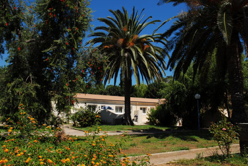 Résidence Vacancéole Lisa Maria Corse - Sari-Solenzara visuel 6/9