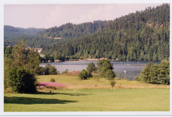 Résidence LocaChalet Lorraine - Xonrupt-Longemer visuel 4/6