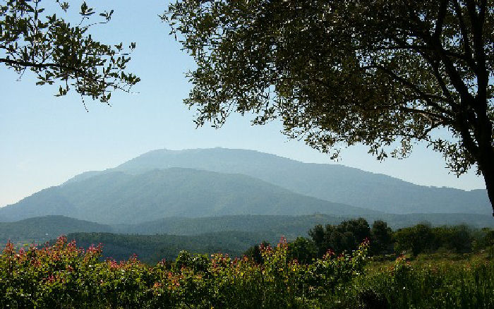 L'Or Blanc Provence-Alpes-Côte d'Azur - Entrechaux visuel 5/6