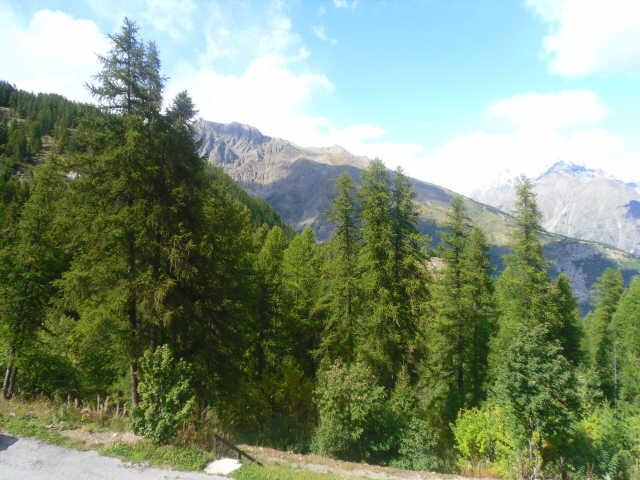 Résidence l'Orée du Bois Provence-Alpes-Côte d'Azur - Puy-Saint-Vincent visuel 6/6