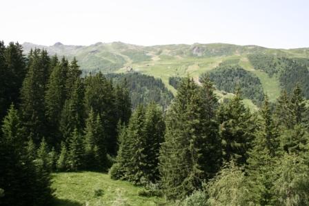 Résidence L'Ours Brun Rhône-Alpes - Méribel visuel 2/5