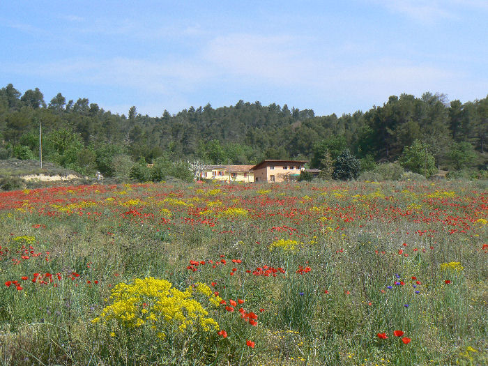 L'Oustaou de Chichoua Provence-Alpes-Côte d'Azur - Villelaure visuel 4/6