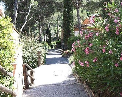 Résidence Maeva le Domaine de Garlande Provence-Alpes-Côte d'Azur - Cavalaire-sur-Mer visuel 9/10