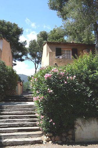 Résidence Maeva le Domaine de Garlande Provence-Alpes-Côte d'Azur - Cavalaire-sur-Mer visuel 6/10