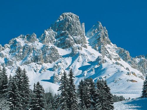 Résidence Pierre et vacances le Peillon Rhône-Alpes - Méribel visuel 4/8