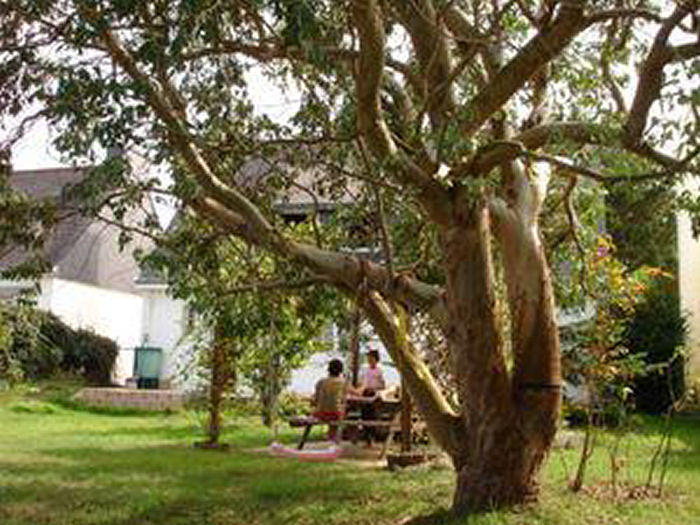 Maison 7 personnes Ilan Bretagne - Ploemeur visuel 3/5