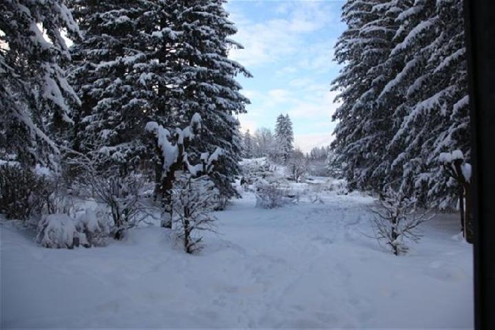 Maison Cyrius Rhône-Alpes - Chamonix-Mont-Blanc visuel 1/2