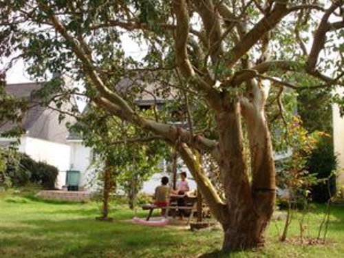 Maison Ilan Bretagne - Ploemeur visuel 6/8