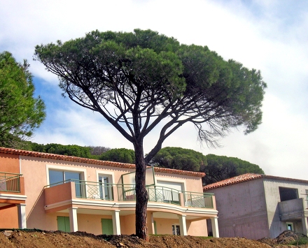 Résidence Maxime Park Provence-Alpes-Côte d'Azur - Sainte-Maxime visuel 5/5