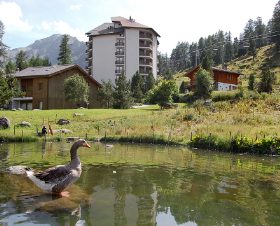 Mont-Fort Bretagne - Saint-Yvi visuel 2/2