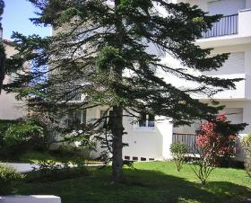 Résidence Moulin des Gardes Poitou-Charentes - Royan visuel 5/6