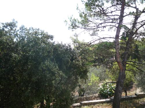 Résidence Nîmes Languedoc-Roussillon - Nîmes visuel 2/12