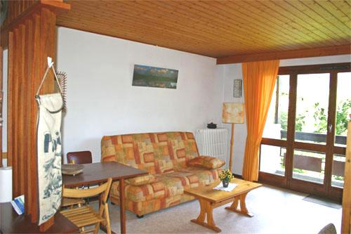 Quartier Gare de Montenvers Rhône-Alpes - Chamonix-Mont-Blanc visuel 8/10