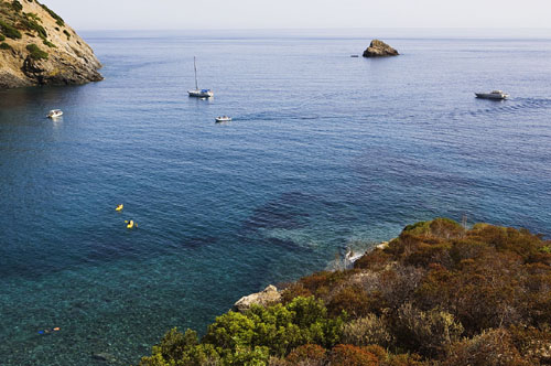 Tenuta delle Ripalte Toscane - Capoliveri visuel 6/8