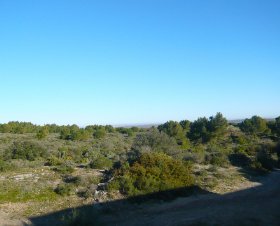 Résidence Terrasses de la Mer Languedoc-Roussillon - Fleury visuel 2/2