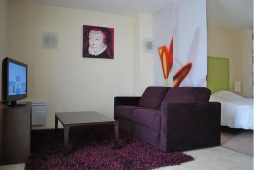 Résidence Val de Loire Resort Grand Centre - Amboise visuel 4/10