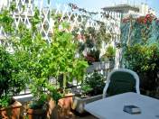 Résidence villa Biron Provence-Alpes-Côte d'Azur - Nice visuel 6/10