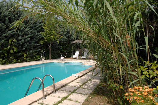 Villa de Senechas Languedoc-Roussillon - Sénéchas visuel 3/10