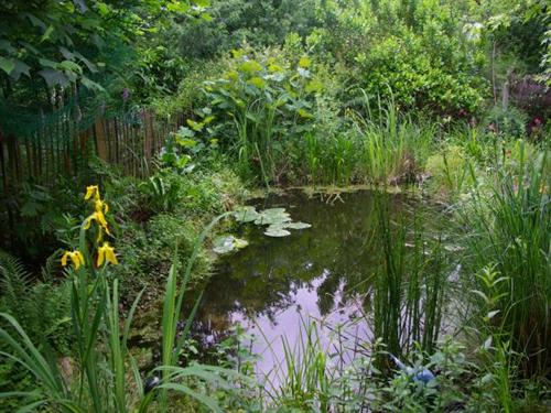 Villa Les floreales Aquitaine - Vensac visuel 7/10
