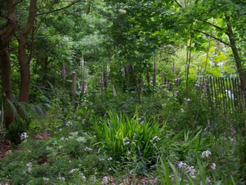 Villa Les floreales Aquitaine - Vensac visuel 6/10