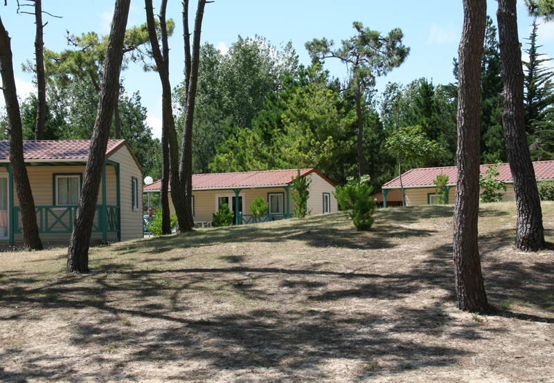 Village Atlantique Vacances Pays de Loire - Saint-Hilaire-de-Riez visuel 5/8