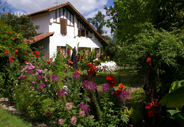 Village de gîtes et chalets Gites et Soleil Aquitaine - Léon visuel 3/10