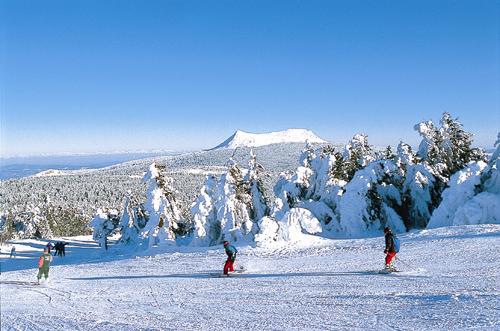 Village de Vacances Le Chapteuil Auvergne - Saint-Julien-Chapteuil visuel 9/10
